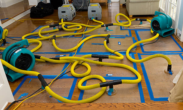 Professional Storm Water Damage Restoration technician working in Doty, WA